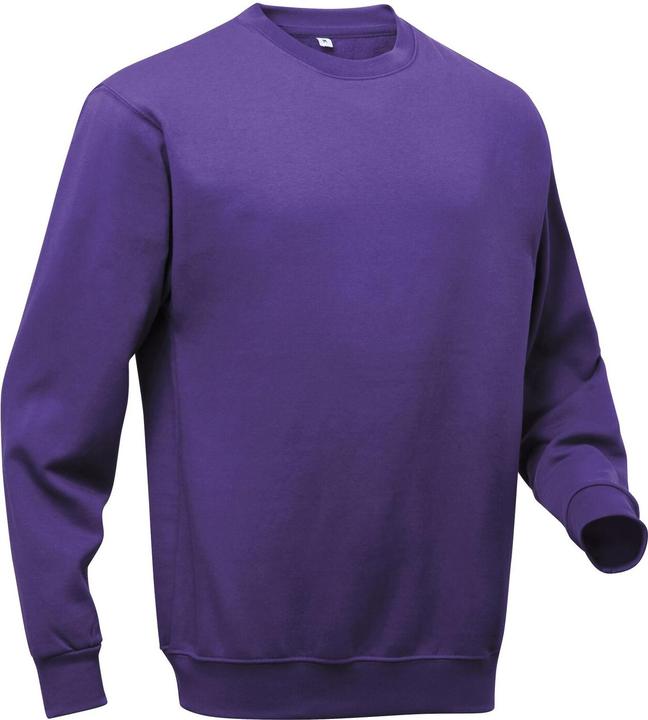 Actual product image Pro RTX Sweatshirt (4XL)