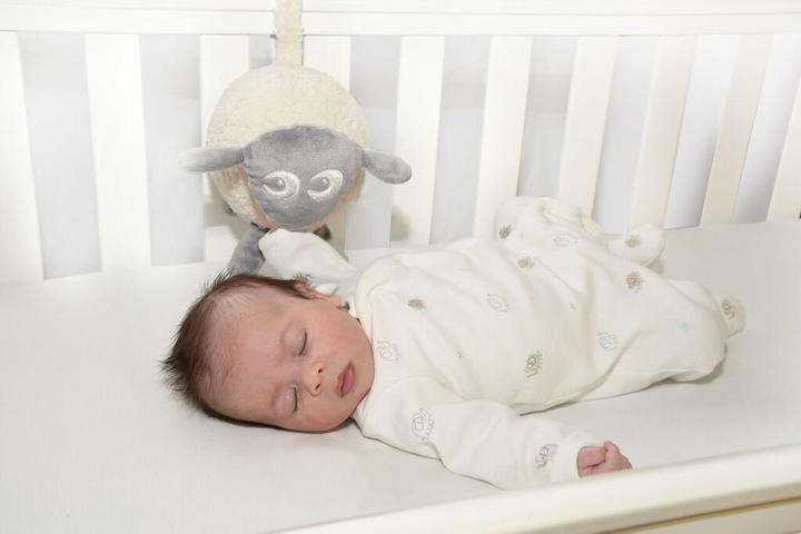 Actual product image Sweet Dreamers Ewan the dream sheep (17 cm)