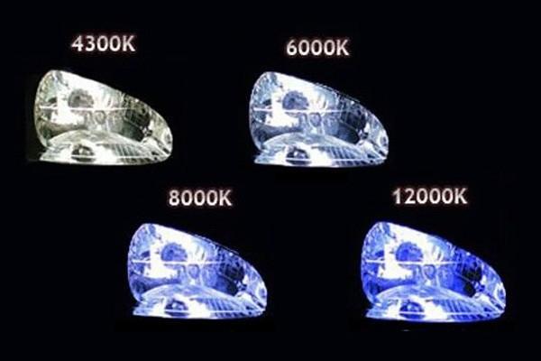 Actual product image Amio 01823 Kit 1103 D2S 4300K