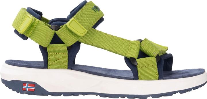 Green Lizard, Mystic Blue, Kiwi