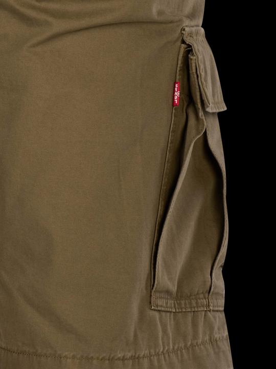 Actual product image Levis 10023458 (Frequency band 38 (2600 MHz))
