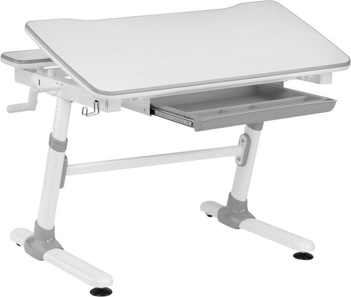 Actual product image Ergo Office Desk (98 x 50 x 80 cm)