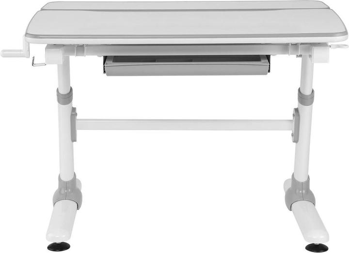 Actual product image Ergo Office Desk (98 x 50 x 80 cm)