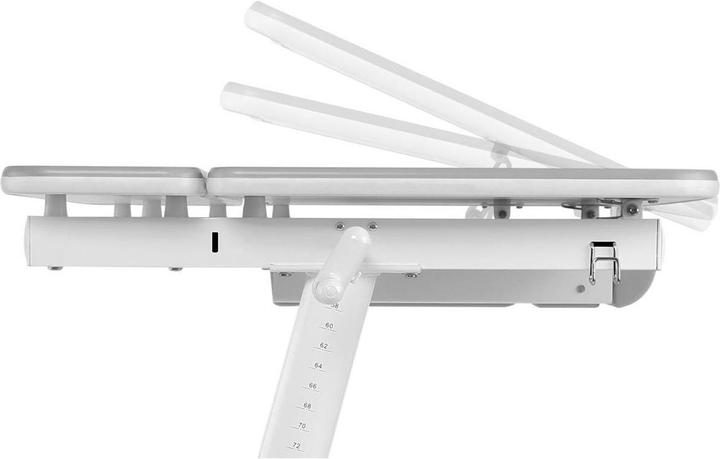 Actual product image Ergo Office Desk (98 x 50 x 80 cm)