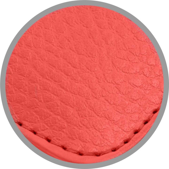 Image du produit Cadorabo Pochette 3 cartes (Apple iPhone 13 Pro Max)