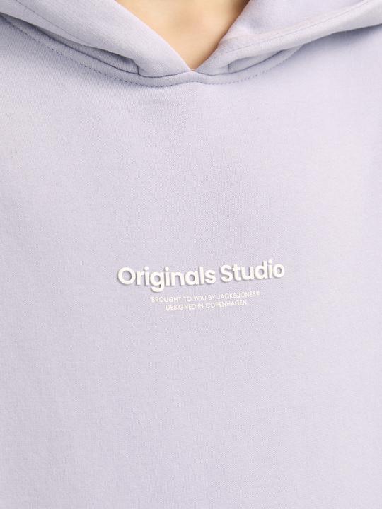 Actual product image Jack & Jones Gedruckt Kapuzenpullover Mini Kapuzenpullover (122)