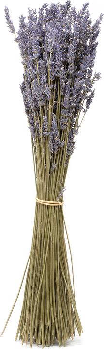 Bouquet de fleurs