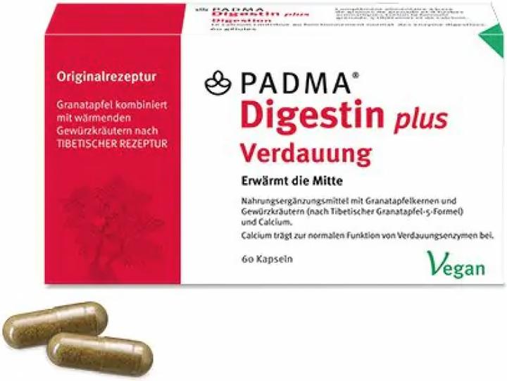 Actual product image Padma Digestin (60 Piece, Capsules, 59 g)