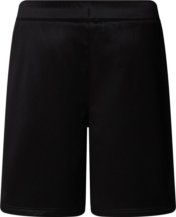 Actual product image North Face Reaxion Fleece (L)