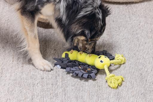 Produktbild Beeztees Hide and Seek Schmetterling (Plüschspielzeug Hund)