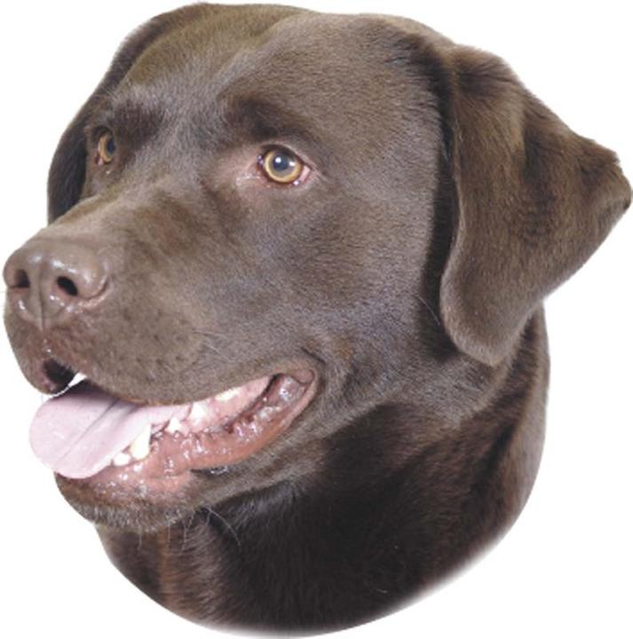 Produktbild Nobby Aufkleber Labrador braun