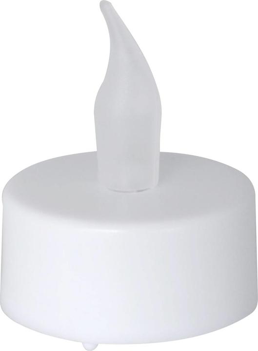 Produktbild Champ Teelichter (24 x)