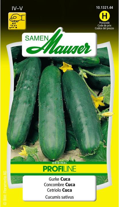 Actual product image Samen Mauser Cucumber Cuca Profiline (Vegetable seeds)