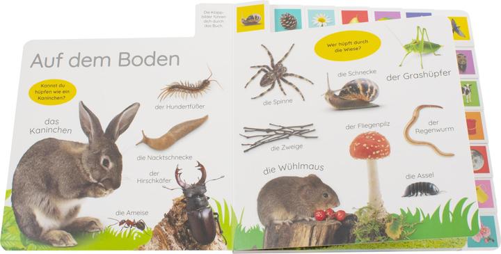 Produktbild Erstes Lernen. In der Natur (Deutsch, DK Verlag - Kids, 2021)