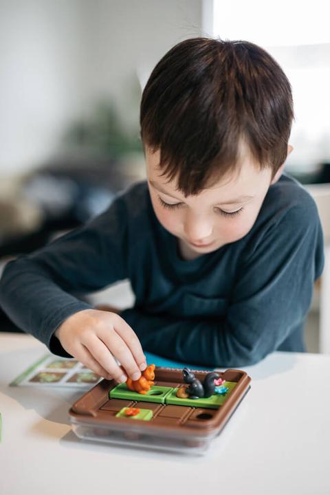 Image du produit Smart Games Allez-y. (Anglais, Italien, Français, Allemand)