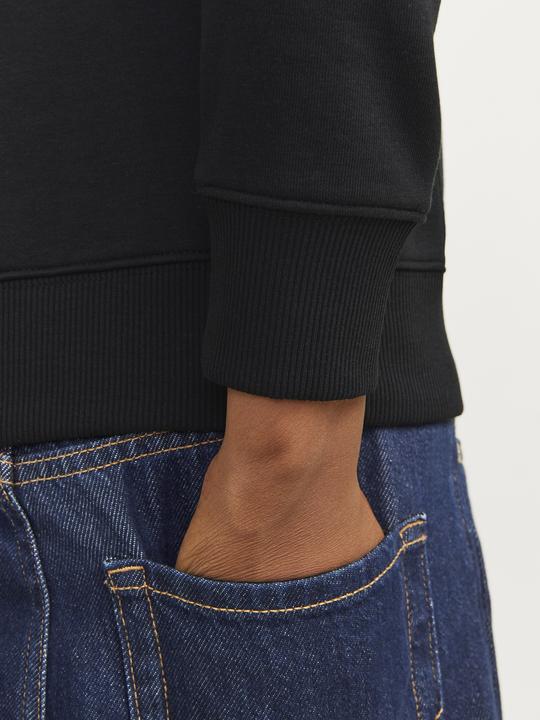 Immagine prodotto Jack & Jones Felpa con logo Mini Felpa (128)