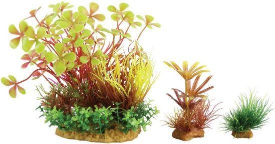Image du produit Zolux Plant Decoration PlantKit Wiha Model 4 (352143) (Décoration, Plantes)