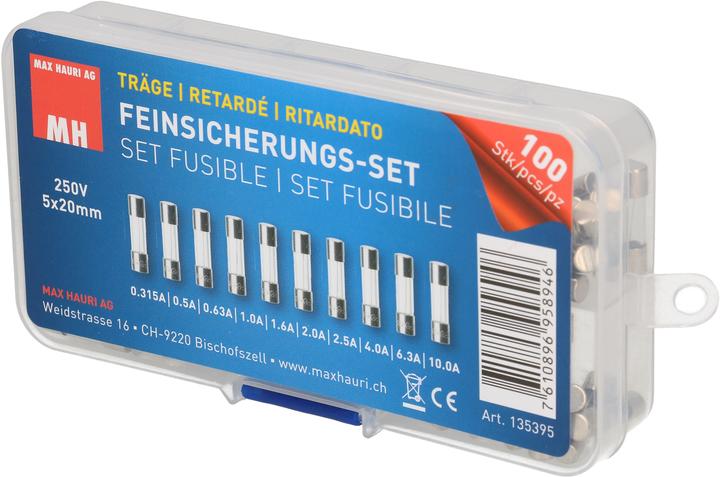 Max Hauri Fine-wire fuse set (Microfusible, 0.63 A, Paresseux)