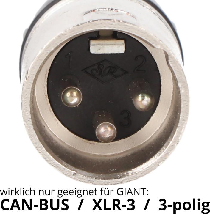 Actual product image Giant XLR 3polig Schnellladegerät 36V 4A XLR 3-polig / CAN-Bus 544M36V4AGLI180-10V 9gb1680202 (E-bike charger)