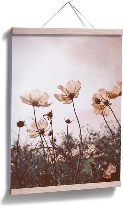 Produktbild Trenddeko Wilde Wiese (24 x 30 cm)