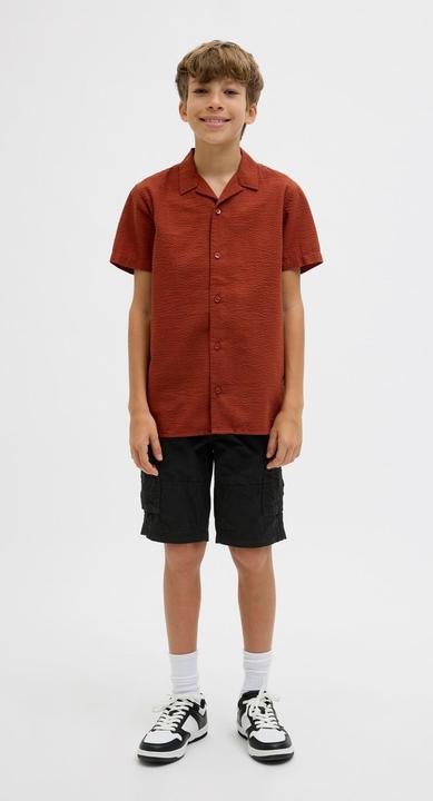 Actual product image Jack & Jones Regular Fit Cargo Shorts Junior Cargo Shorts (170)