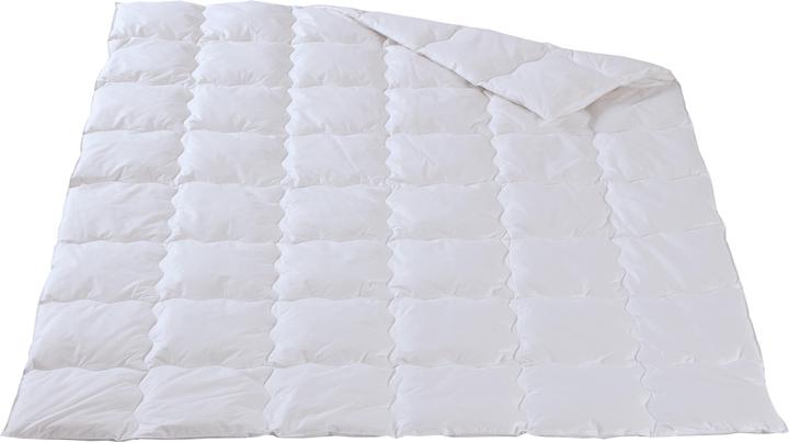 Swiss Leichtes Ganzjahres-Duvet