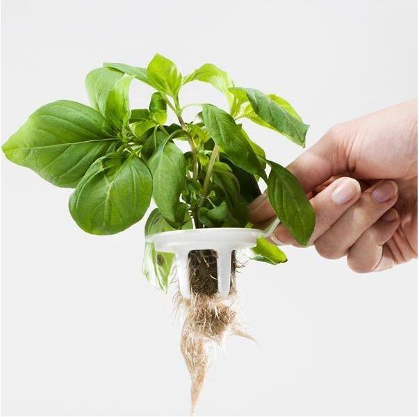 Immagine prodotto Plantui Giardino intelligente (29 cm)