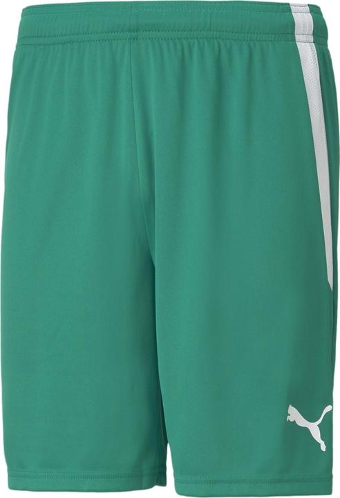Image du produit Puma Short teamLIGA-704924 (XXL)