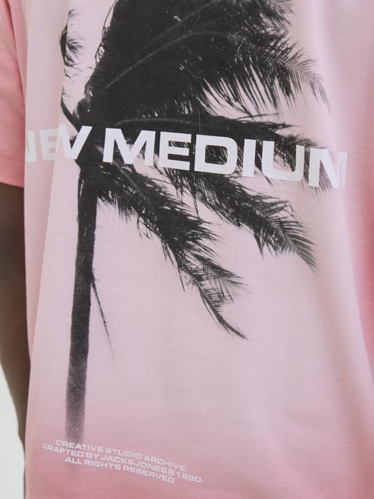 Produktbild Jack & Jones Gedruckt Rundhalsausschnitt T-shirt T-shirt (XXL)