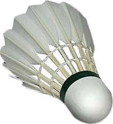 Yonex Federball Aeroclub TR 12erPack