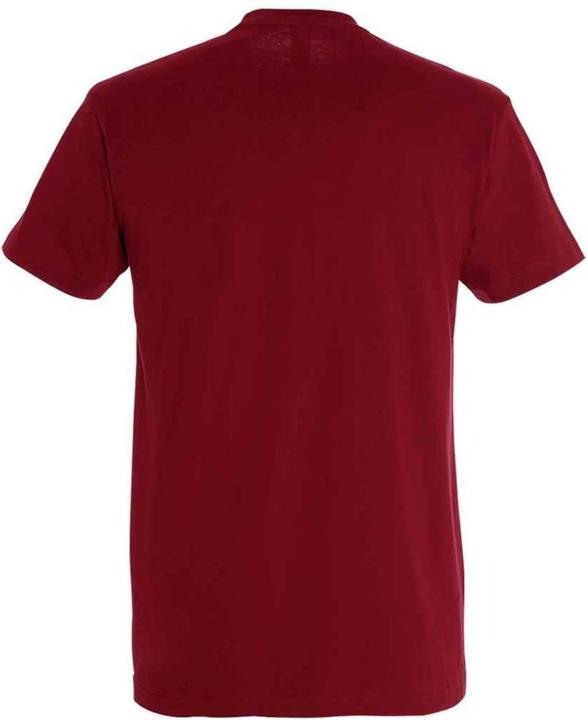 Produktbild Sols Imperial TShirt Schwere Qualität (3XL)