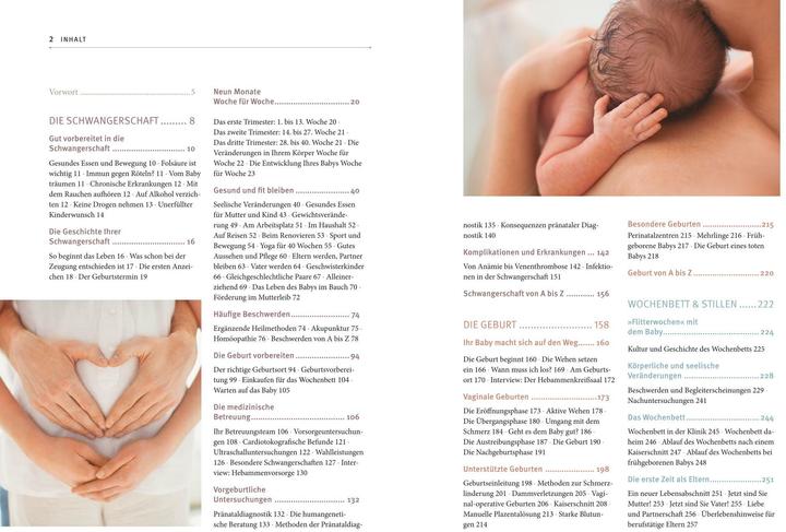 Produktbild Hebammen-Gesundheitswissen (Deutsch, Silvia Höfer, 2012)