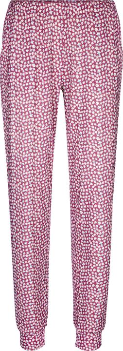 Calida Favourites (XS)