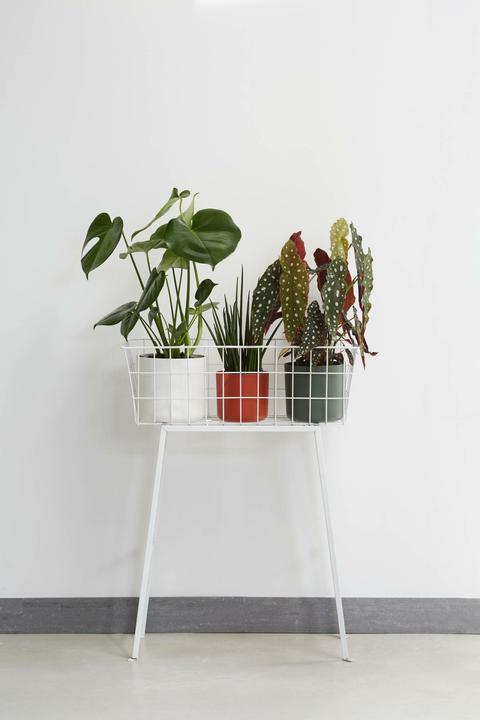 Produktbild Elho B.for soft (16 cm)