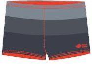 Aquawave men's swimwear STRIPE Gray STRIPES. L (L)