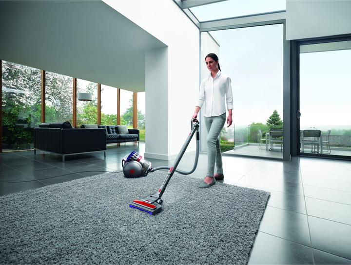 Productafbeelding Dyson Big Ball Parquet 2