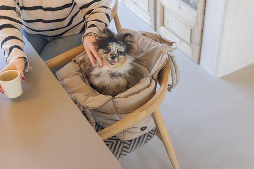 Actual product image Designed by Lotte Tico (Dog, Foldable, Washable)