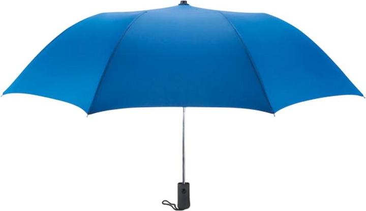 Bleu roi