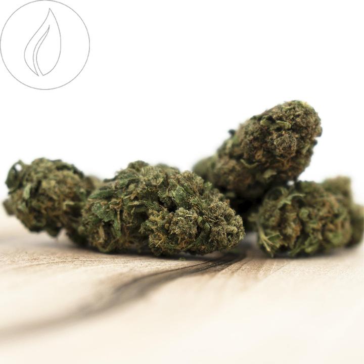 Actual product image Herba di Berna Orangello (45 g, Outdoor)