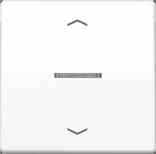 Actual product image JUNG BTA17101BFPWW HOME Push button