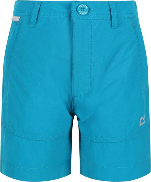 Regatta Highton Shorts (146, 152)