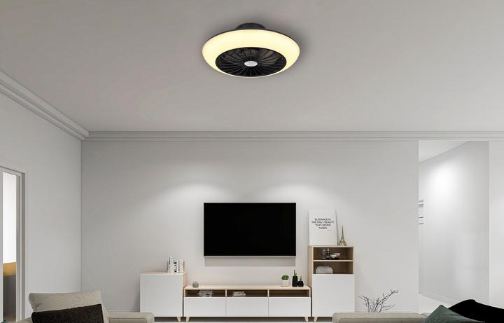 Actual product image Globo Lafee (57.50 dB)