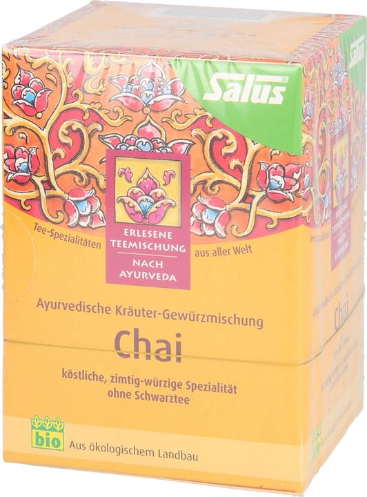 Produktbild Salus Chai-Tee bio, 15 St. Filterbeutel (30 g)