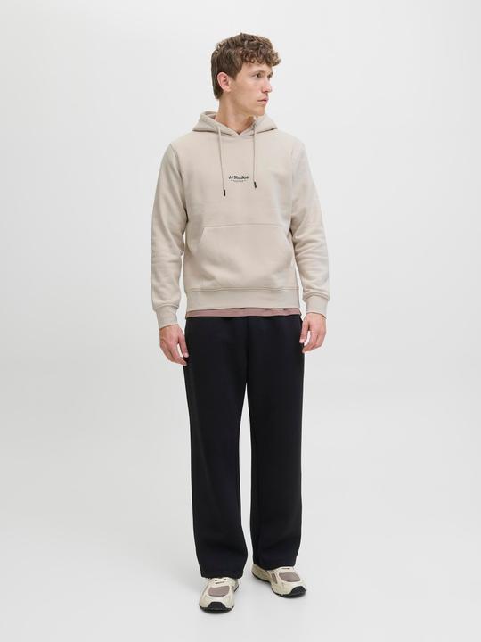 Actual product image Jack & Jones Jjesoho Sweat Hood Noos (L)
