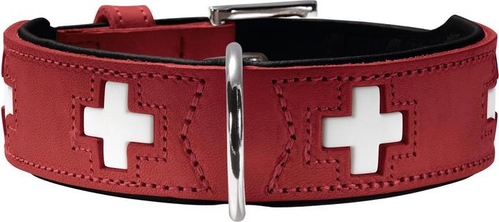 Actual product image Hunter Swiss (Dog, Dog sport)