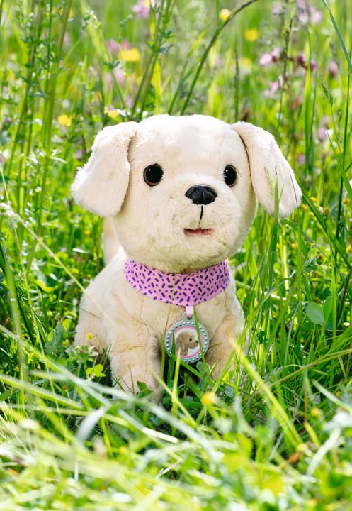 Produktbild Zapf Creation Baby Born - My Lucky Dog