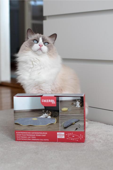 Actual product image Kerbl Catch the Tail (Intelligence toy cat)