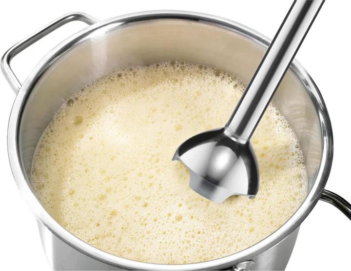 Image du produit Bosch Hausgeräte Mixeur plongeant MSM2410DW (Prise UE)
