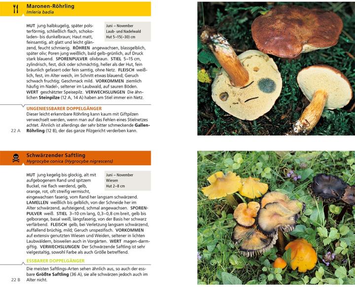 Produktbild Kosmos Essbare Pilze und ihre giftigen Doppelgänger (Deutsch, Andreas Gminder, Hans E. Laux, 2022)