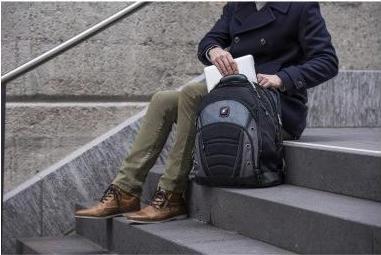Actual product image Wenger Synergy (26 l)